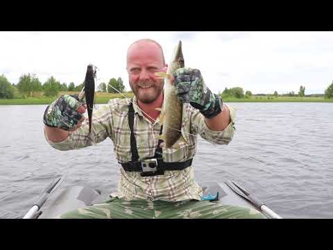 Видео: Ловля ЩУКИ на КРУПНЫЙ СИЛИКОН! Малые водоёмы Московской обл!
