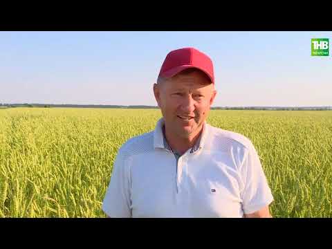 Видео: Туган җир 10/07