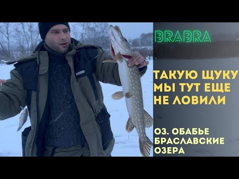 Видео: Таких щук мы еще не ловили на о. Обабье. Всегда уезжаем с уловом - рыбалка на Браславских озерах