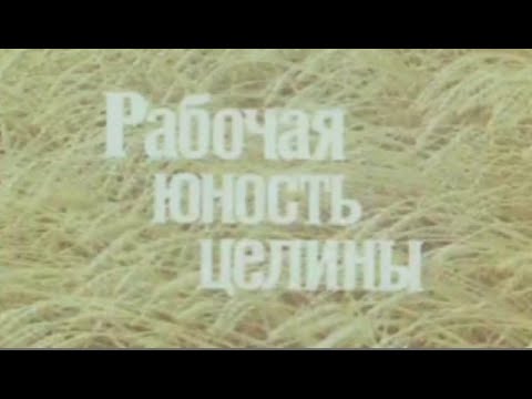 Видео: СПТУ - 6 г . Есиль Тургайская область Казахская . ССР.