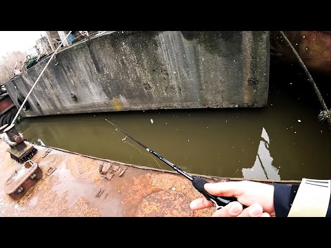 Видео: Кого можно поймать среди старых жутких барж? Рыбалка весной на спиннинг CF Optimus 752ULS