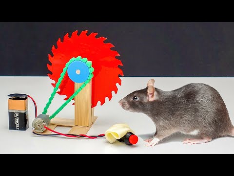 Видео: Самая ЭФФЕКТИВНАЯ мышеловка в мире ⚡🐀
