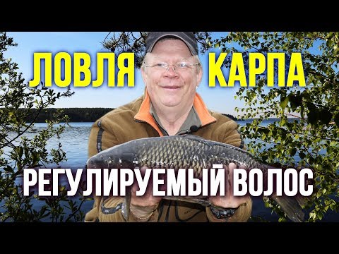 Видео: Как связать карповый поводок с регулируемым волосом https://youtu.be/BJzc8pvjfV4