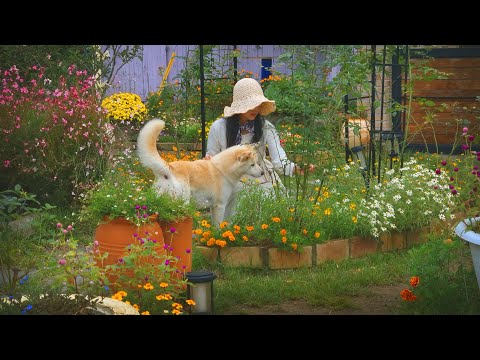 Видео: № 106. Шесть лет загородной жизни: её счастье в осеннем саду