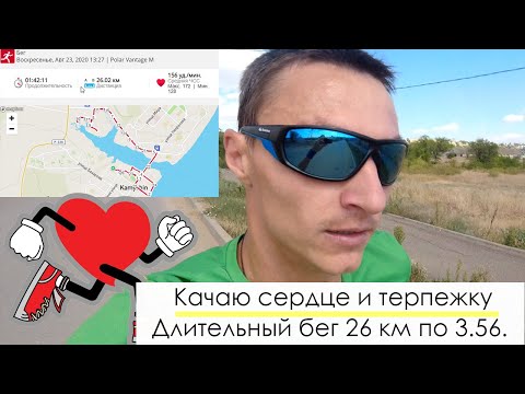 Видео: Качаю сердце и терпежку. Длительный бег.  26 км по 3.56. Пульс 156.