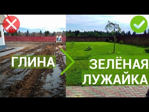 Видео: Долой глину, даёшь ровную зелёную лужайку! Зелёный Вектор