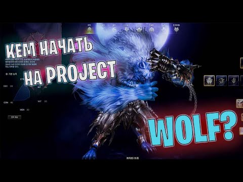 Видео: КЕМ НАЧАТЬ играть в Lineage 2 Project WOLF / Выбор класса 2025 / Старт сервера Волк #lineage2 #games