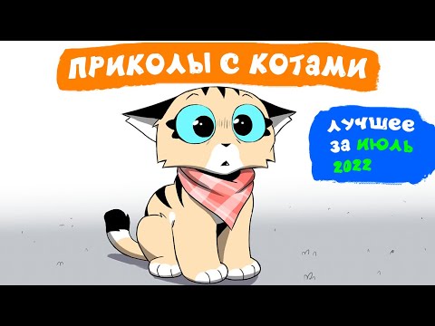 Видео: Приколы с котами. ЛУЧШЕЕ ЗА ИЮЛЬ 2022 | Мемозг