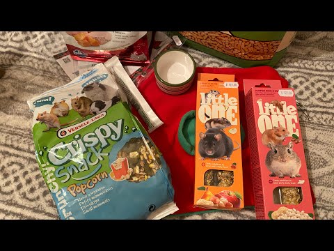 Видео: Покупки из зоомагазина для Хати и Мифи