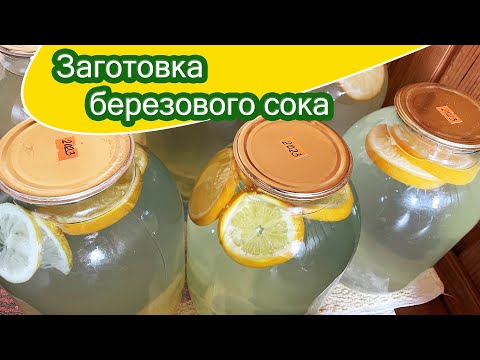 Видео: Консервируем березовый сок / Простой способ / Готовим дома