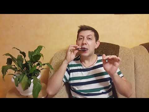 Видео: Сельский рифф для губной гармошки. УРОК №37.Rustic riff for the harmonica.