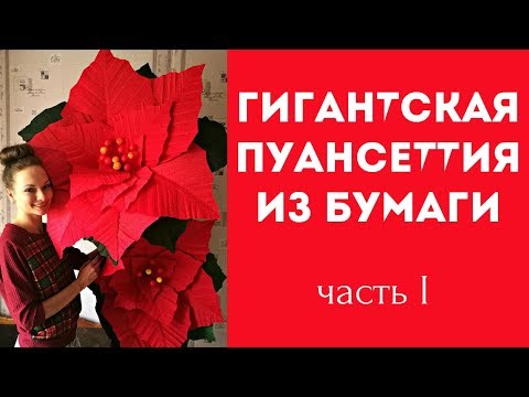 Видео: РОСТОВАЯ ПУАНСЕТТИЯ из гофрированной бумаги. Часть 1