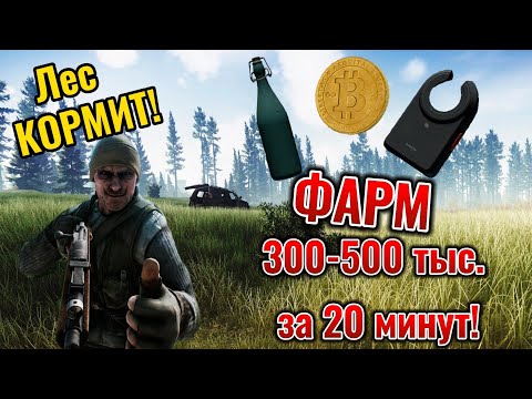 Видео: Фарм Леса I Стабильный заработок! I Ledx I Escape From Tarkov I #escapefromtarkov #tarkov #ledx