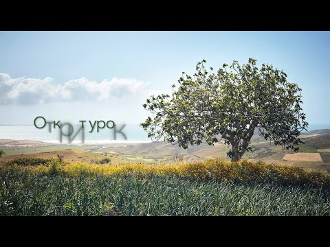 Видео: Ще погълне смъртта завинаги | п-р Димитър Лучев