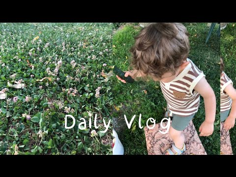 Видео: 🥵Да избягаме от жегата | Кафето не ми помага вече 😩