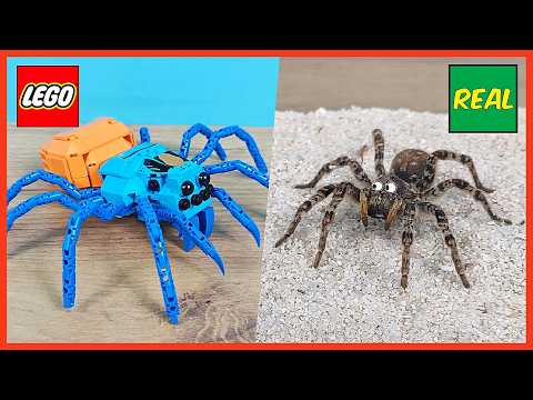 Видео: LEGO паук Тарантул против Настоящего паука Тарантула!