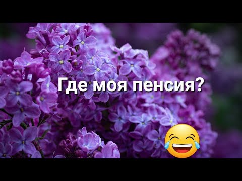 Видео: Моя жизнь до и после. / Где моя пенсия? 22.5.24.