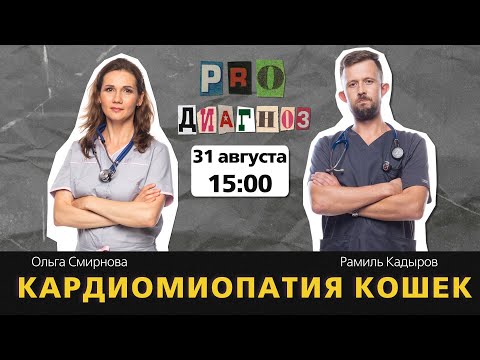 Видео: Pro Диагноз. Кардиомиопатия кошек