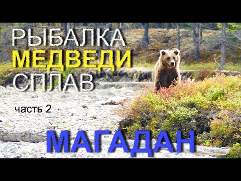 Видео: ВСТРЕТИЛ МЕДВЕДЯ, а в руках только спиннинг. Рыбалка в Магадане. Часть 2.