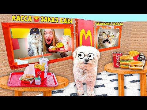 Видео: МЫ ОТКРЫЛИ МАКДОНАЛЬДС ДЛЯ КОТОВ У СЕБЯ ДОМА | ИЗ КАРТОНА И ПЛАСТИЛИНА