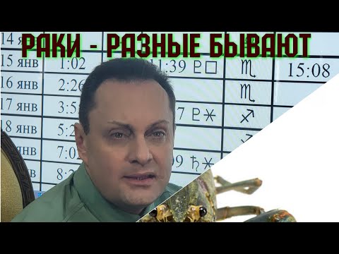 Видео: РАКИ 1, РАКИ 2, РАКИ 3
