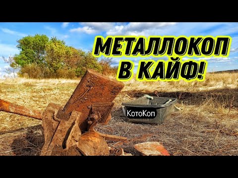 Видео: Нас не ВЫГНАЛИ. Вот это БОНУСЫ #коп #заработок #металлокоп #hunting #md #treasure #xpdeus #камрад