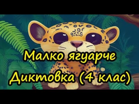 Видео: Малко ягуарче - Диктовка