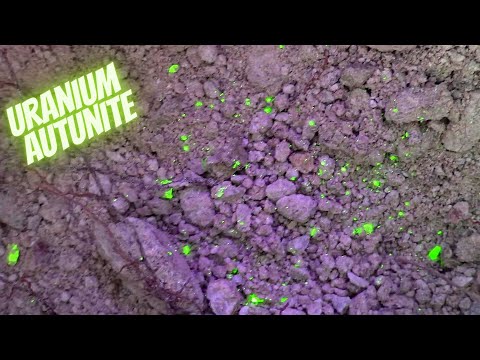 Видео: Добыча уранового минерала Аутунит – урановый рудник