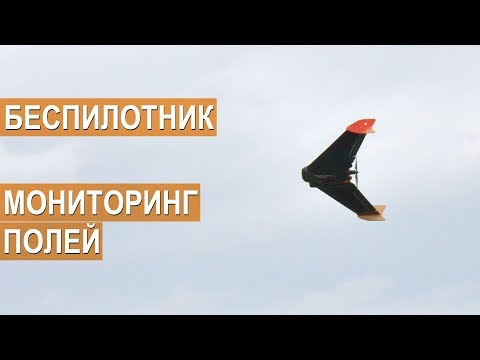 Видео: Мониторинг полей с беспилотника DronWork в КФХ Андрея Савченко