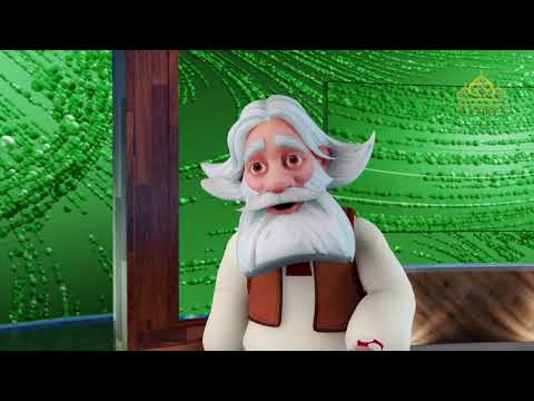 Видео: Прогноз погоды. 5 октября 2019