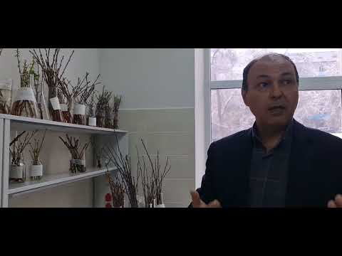 Видео: Лаборатория ин-витро для клонирования растений в Алматы с возможностью генетических исследований.