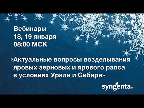 Видео: Актуальные аспекты защиты ярового рапса в условиях Сибири и Урала