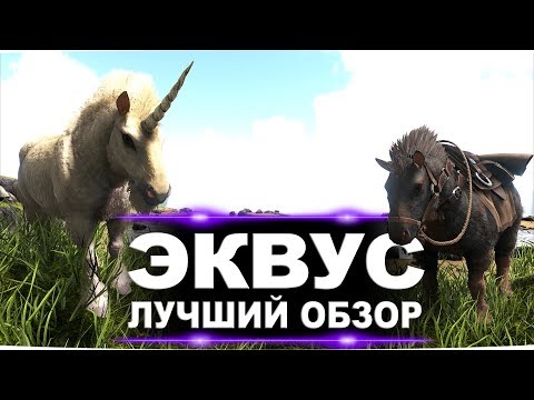 Видео: Эквус (Equus) в АРК. Лучший обзор: приручение, разведение и способности  в ark