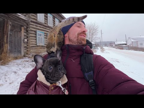 Видео: Часть 1. Ну здравствуй, пёс
