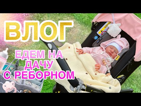 Видео: ВЛОГ РАСПАКОВКА СИЛИКОНОВЫХ МИНИ РЕБОРНОВ | ЕДЕМ НА ДАЧУ С МАЕЙ | ОБЗОР ПОКУПОК