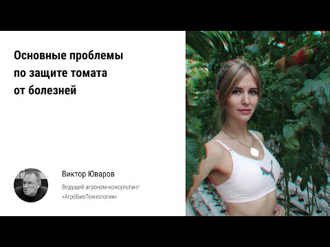 Видео: 🏃 Основные проблемы по защите урожая томата от болезней в промышленных тепличных комплексах