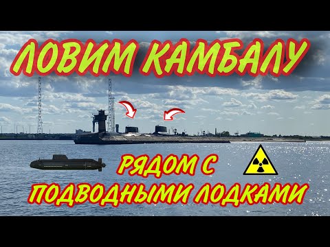 Видео: Шок.Ловим камбалу рядом с подводными лодками.#Ягры #камбала #дамба