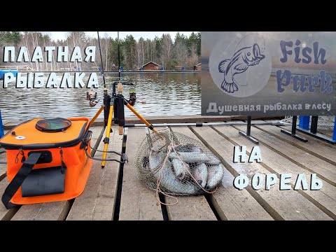 Видео: Платная рыбалка на форель