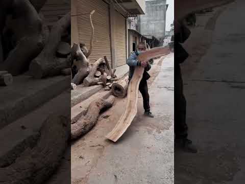 Видео: Бизнес на мусоре из леса👍