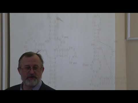 Видео: Асеев В. В. - Молекулярная биология - 12. Транспортные РНК