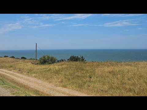 Видео: немного наших дней без суеты.