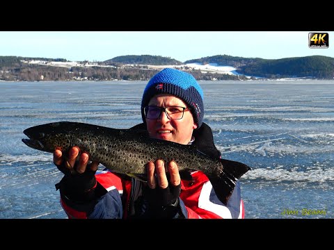 Видео: Как поймать озёрную форель со льда в Норвегии? Малосол и уха! 4K.