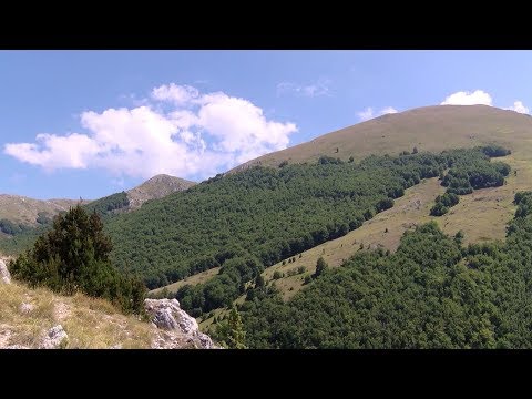Видео: Галичица - Кавказ на Балканот