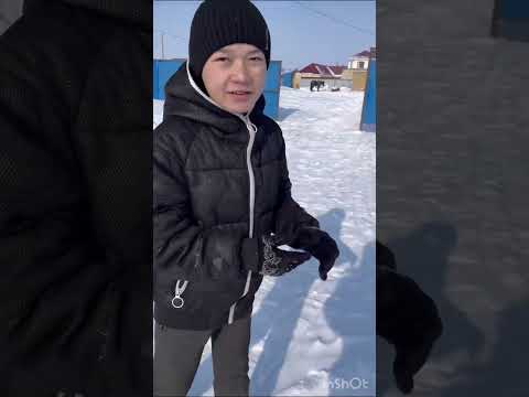 Видео: Ауыл балалары демалысы.. #будалай#гуля#гулмайда