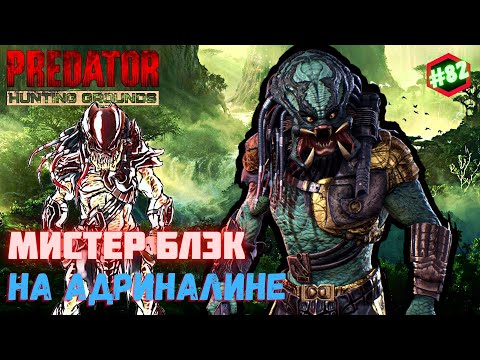 Видео: Predator Hunting Grounds ➤ МИСТЕР БЛЭК на адриналине ➤ ОХОТА #82 #predator