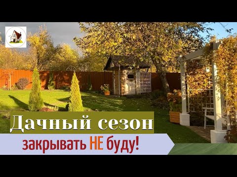 Видео: Оранжевое солнце. Ремонт отмостки. Последние пересадки.