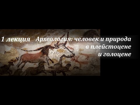 Видео: № 1. Археология палеолита: общий обзор. С.А. Васильев. (ИИМК РАН)