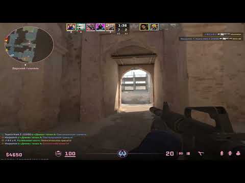 Видео: откуда он там