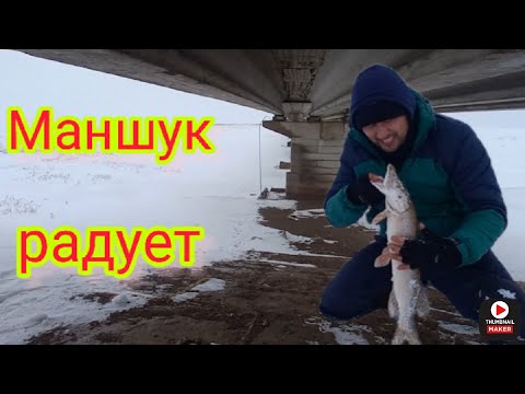 Видео: Щука на жерлицы. Маншук, Нура, ожидание поклевки налима