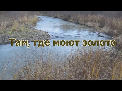 Видео: Там, где всегда есть золото